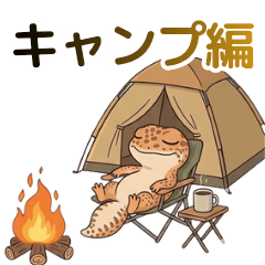 Camping days of Leopard gecko
