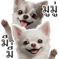 Mimi and Mumu, Best Friends - Part 1