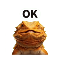 Gorigori_20260320163054