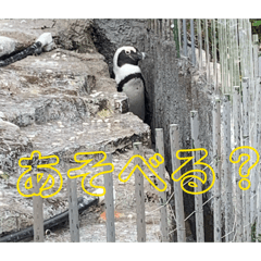 Akimaru_20260320163113