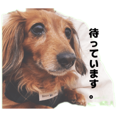 tomiopi_20260320205221