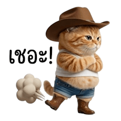 Cute cowboy cat