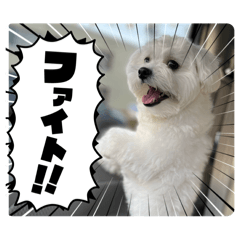 HANAO_20260320164702