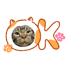 fuyumi_20260320200448