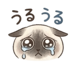 gonpan_20260320200219