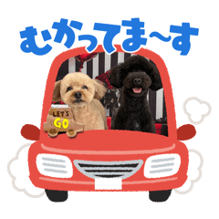 china_20260320201210