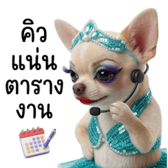 Beautiful chihuahua dancer