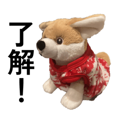 Hiroke_20260318020239