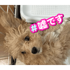 Natsu_20260320171553