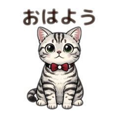 popola_20260320171509