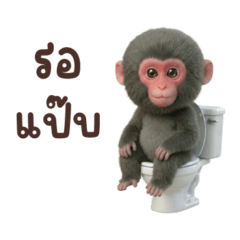 Cute Japanese Macaque (Big)