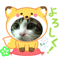 MARON_20260320215141