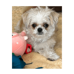 Takahashi_20260318031951