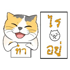 pachapon_20260320164141