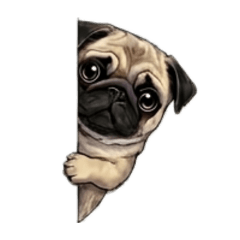 Porkchop is pug_20260320162524