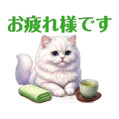 kaiko_20260320184340