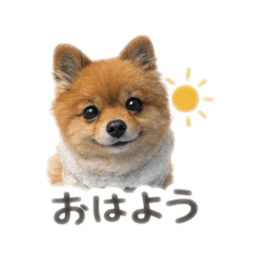 purin.love._20260320184757