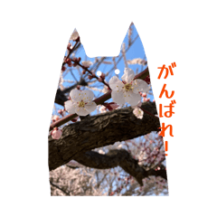 shiori_20260320185914