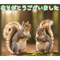 PAKAMOGOLY_20260320204532