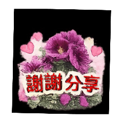一花一草