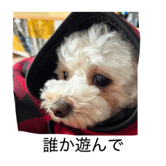 NAOTO_20260320221801