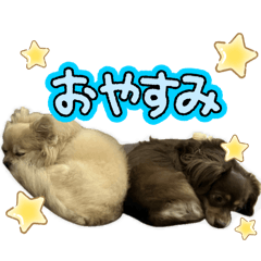 chibi_20260320222211