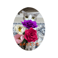 Chii-chan_20260320222552