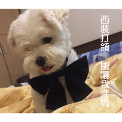 蒲公英界的大小姐Kiki