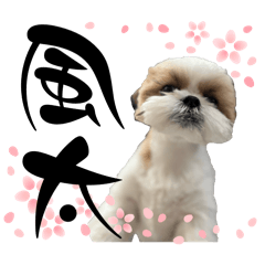 erichan_20260320223641