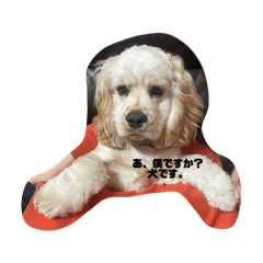 nyannyan_20260320231505