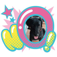 pimtida_20260320200830