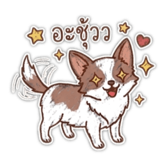 Partner Begin_20260320183029