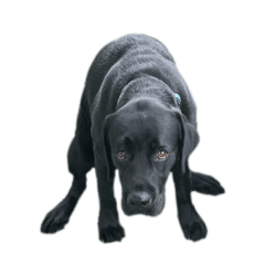 Koto1224_20260320234807