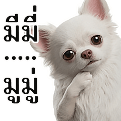 Mimi and Mumu Best Friends 2