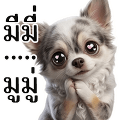 Mimi and Mumu, the dynamic duo - 3