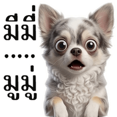 Mimi and Mumu, Best Friends - 6