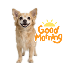 Nanthep_20260320222905