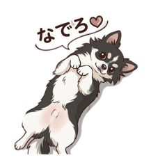 micho_20260321065258