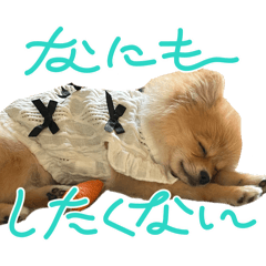 Kasumi_20260320221051