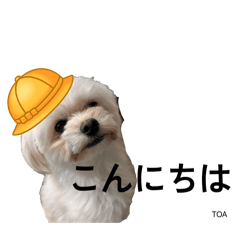 ayano_20260320220417