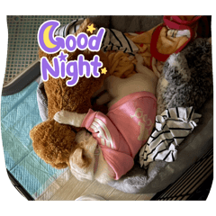 kozue_20260320220857