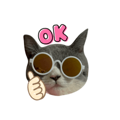 Juju_20260321013155