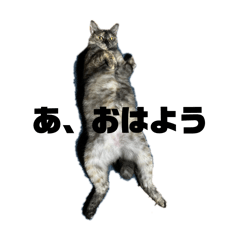 nekoneko_20260321082331