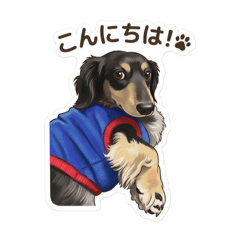 Kogajam staff_20260321082033