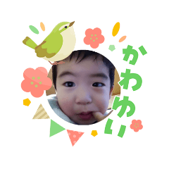 mi-ho_20260321085826