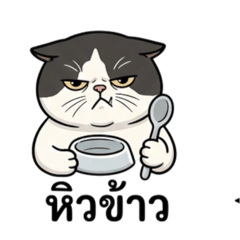 Cutie little cow_20260321083132