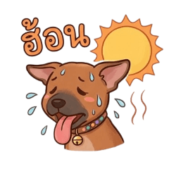 gukeyiiz_20260321082509