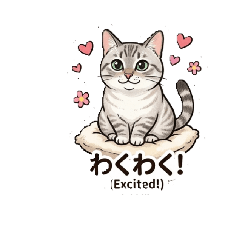 chiko_20260318152314