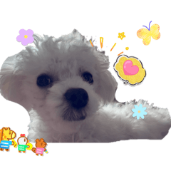 annie_20260318133941