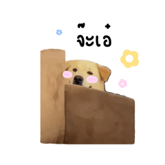 Kwanpicha_20260320231410